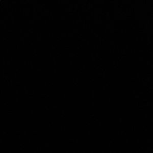 Meet your Posher, Kirby